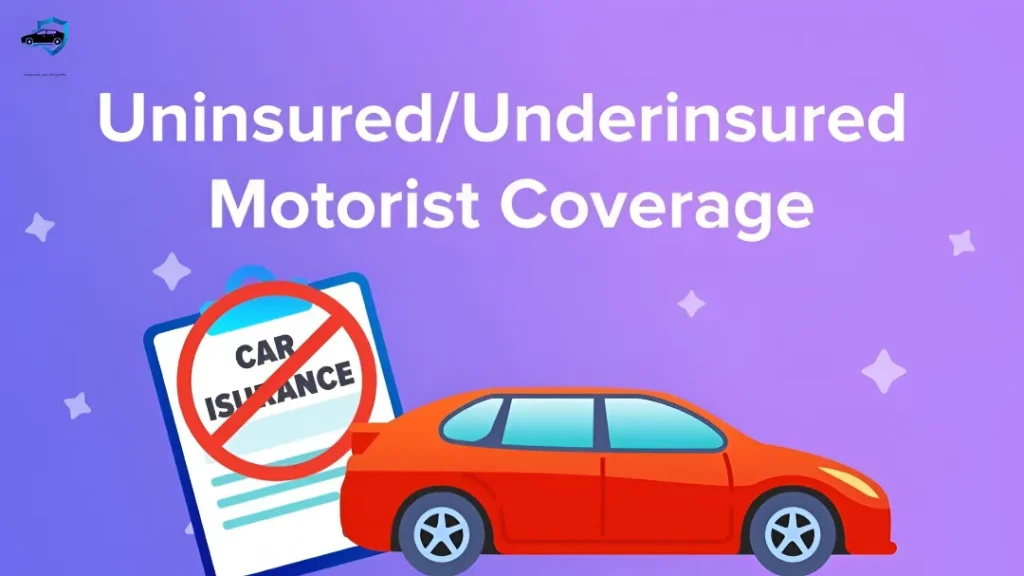 Basic Coverage Car Insurance